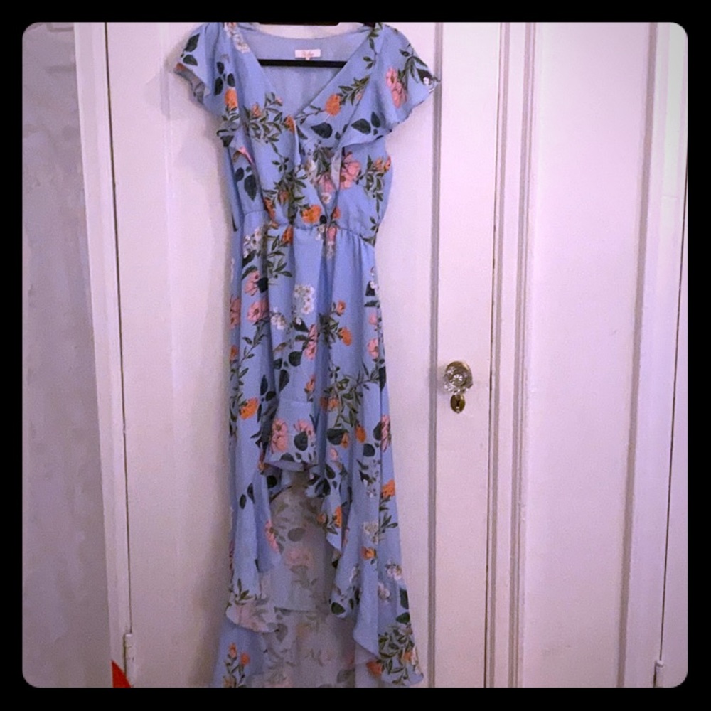 Parker blue floral dress